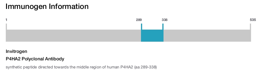 P4HA2 Polyclonal Antibody