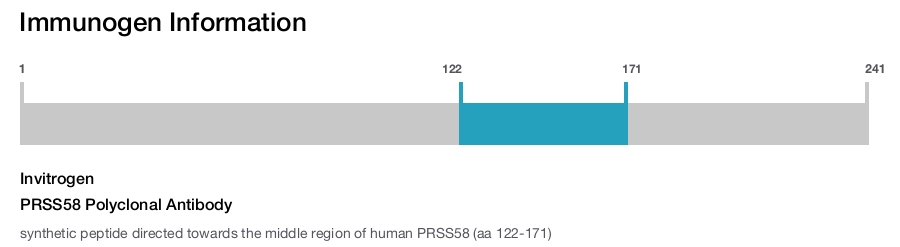 PRSS58 Polyclonal Antibody