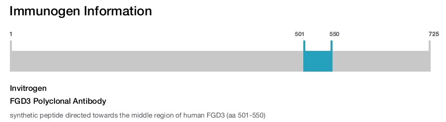 FGD3 Polyclonal Antibody