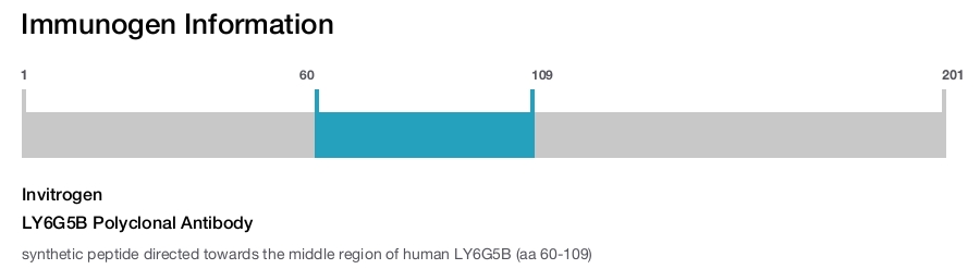LY6G5B Polyclonal Antibody