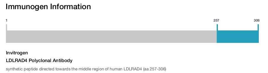 LDLRAD4 Polyclonal Antibody