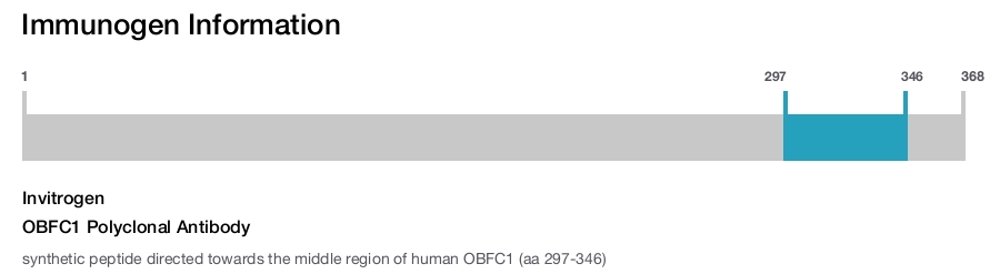 OBFC1 Polyclonal Antibody