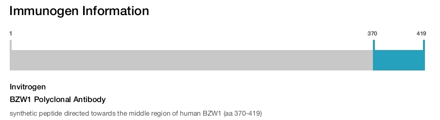 BZW1 Polyclonal Antibody