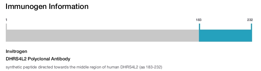 DHRS4L2 Polyclonal Antibody