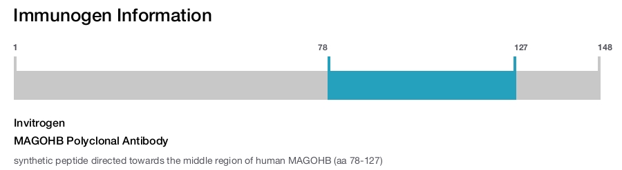 MAGOHB Polyclonal Antibody