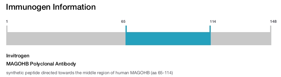 MAGOHB Polyclonal Antibody