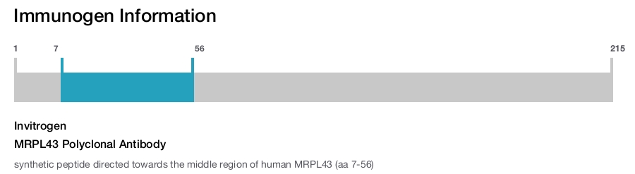 MRPL43 Polyclonal Antibody