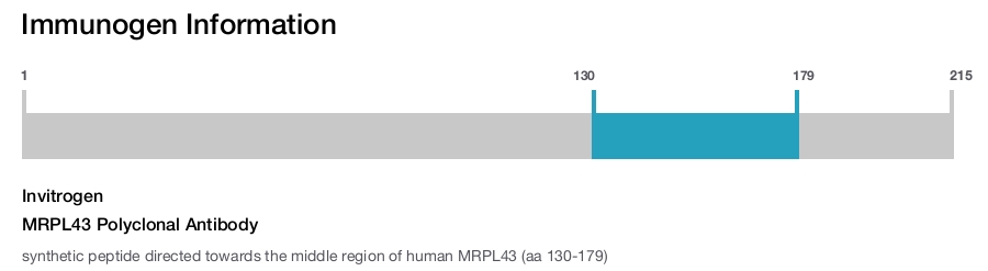 MRPL43 Polyclonal Antibody