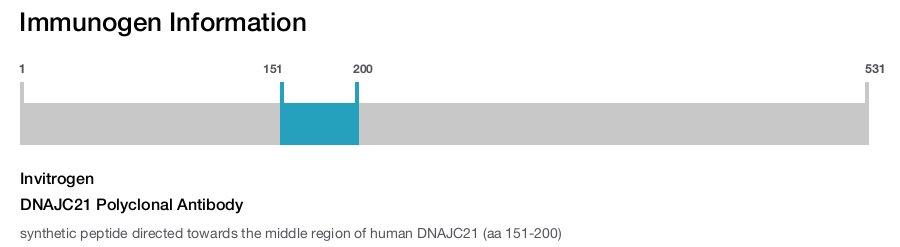 DNAJC21 Polyclonal Antibody