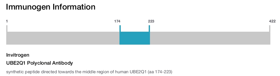 UBE2Q1 Polyclonal Antibody