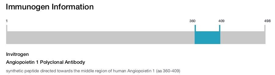 Angiopoietin 1 Polyclonal Antibody