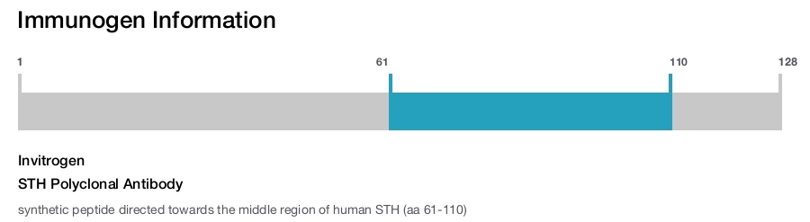 STH Polyclonal Antibody