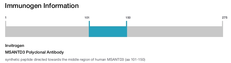 MSANTD3 Polyclonal Antibody