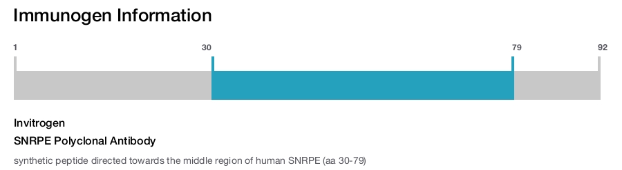 SNRPE Polyclonal Antibody
