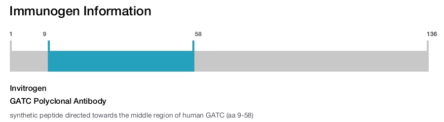 GATC Polyclonal Antibody