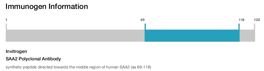 SAA2 Polyclonal Antibody