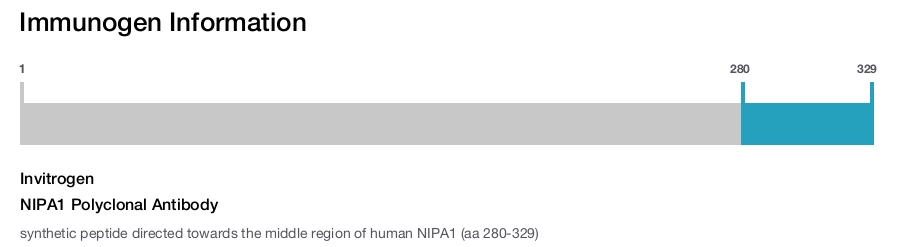 NIPA1 Polyclonal Antibody