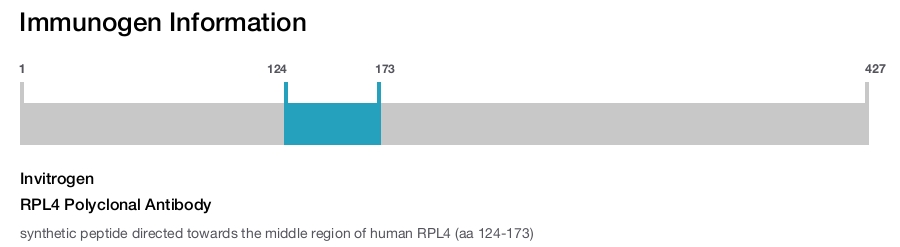 RPL4 Polyclonal Antibody