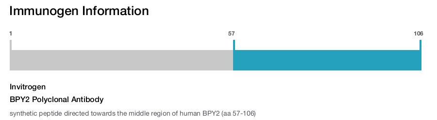 BPY2 Polyclonal Antibody