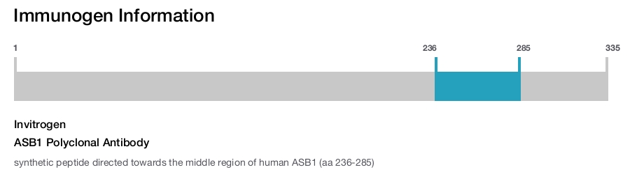 ASB1 Polyclonal Antibody