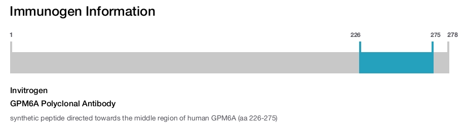 GPM6A Polyclonal Antibody