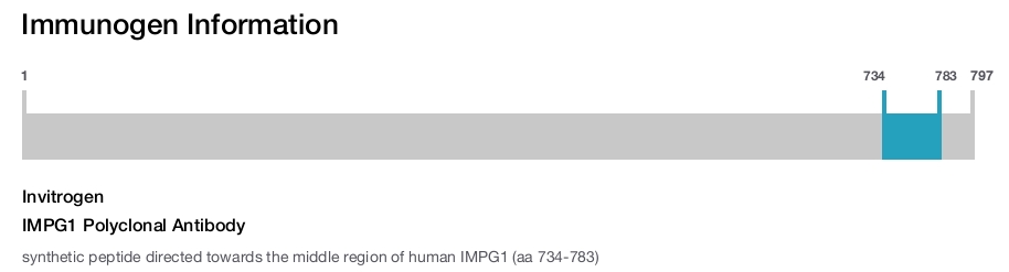 IMPG1 Polyclonal Antibody