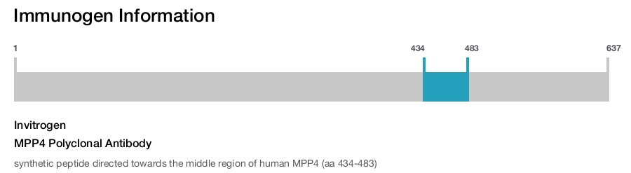 MPP4 Polyclonal Antibody