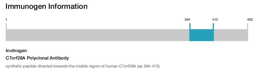 C7orf28A Polyclonal Antibody