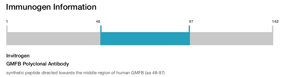 GMFB Polyclonal Antibody