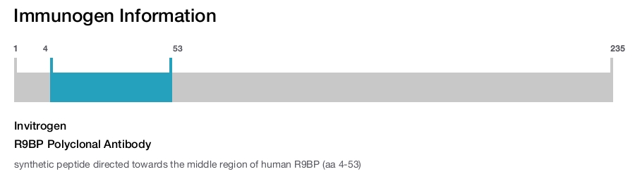 R9BP Polyclonal Antibody