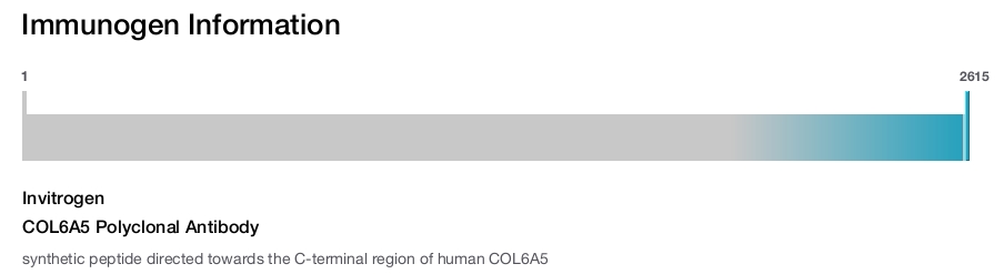COL6A5 Polyclonal Antibody