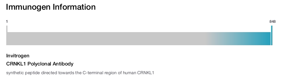 CRNKL1 Polyclonal Antibody