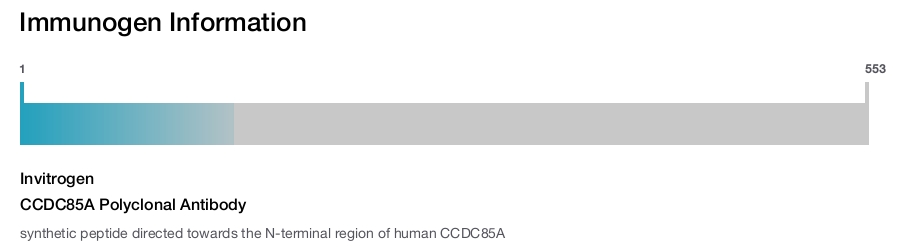 CCDC85A Polyclonal Antibody