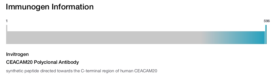 CEACAM20 Polyclonal Antibody