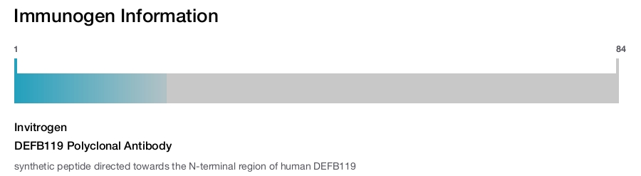 DEFB119 Polyclonal Antibody