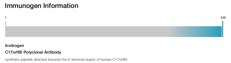 C17orf85 Polyclonal Antibody