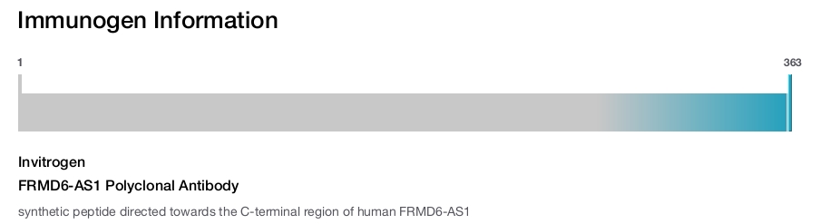 FRMD6-AS1 Polyclonal Antibody