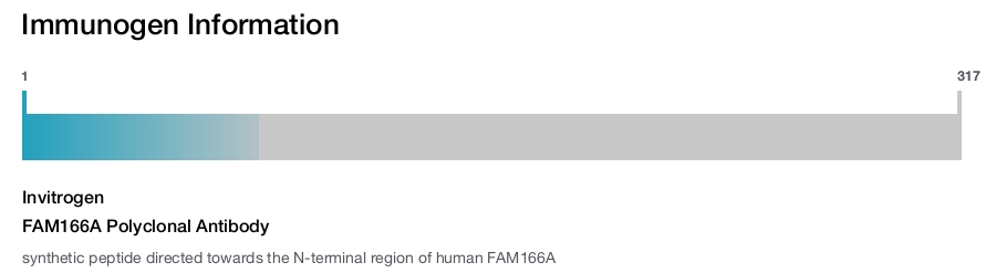 FAM166A Polyclonal Antibody
