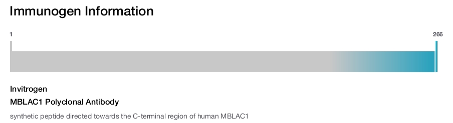 MBLAC1 Polyclonal Antibody