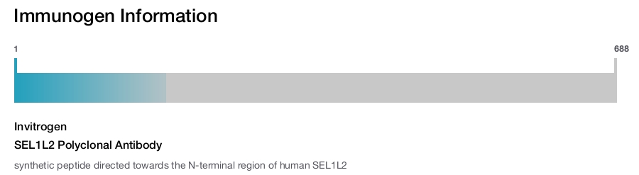 SEL1L2 Polyclonal Antibody
