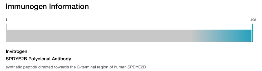 SPDYE2B Polyclonal Antibody