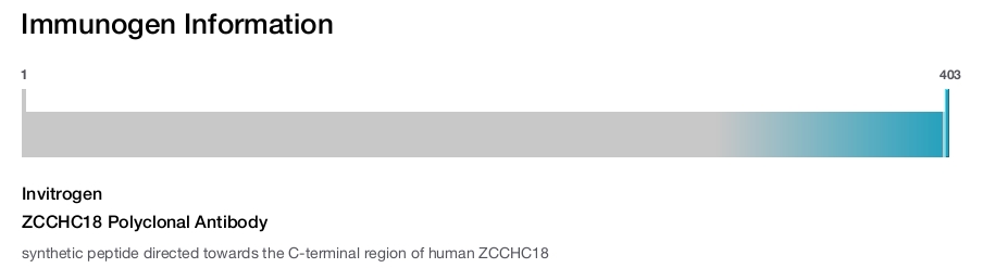 ZCCHC18 Polyclonal Antibody
