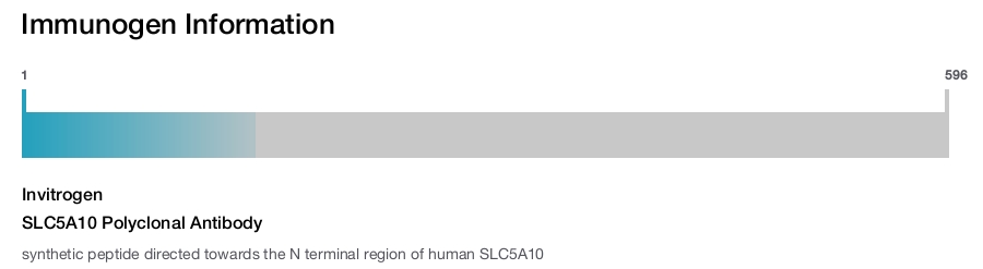SLC5A10 Polyclonal Antibody
