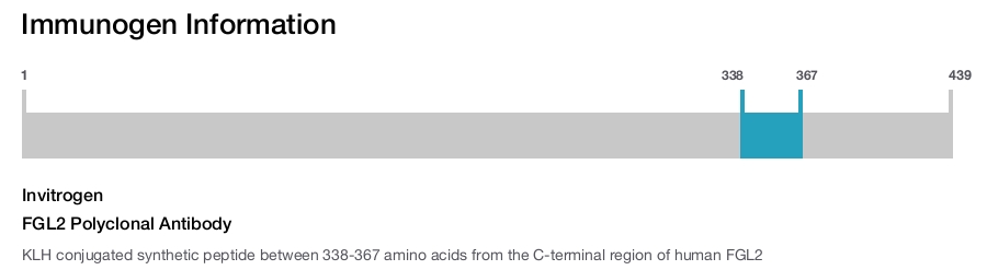 FGL2 Polyclonal Antibody