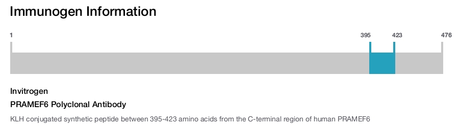 PRAMEF6 Polyclonal Antibody