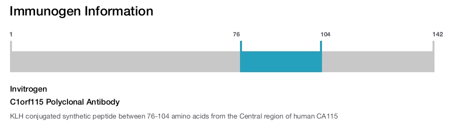 C1orf115 Polyclonal Antibody