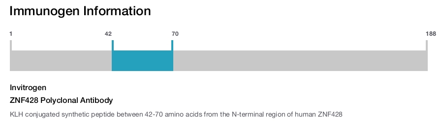 ZNF428 Polyclonal Antibody