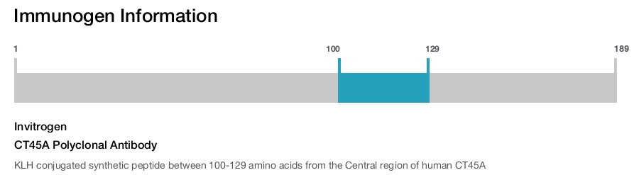 CT45A Polyclonal Antibody