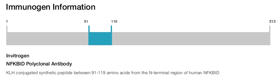 NFKBID Polyclonal Antibody