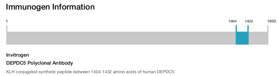 DEPDC5 Polyclonal Antibody